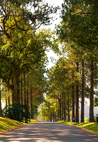 Ecossistema particular do Haras La Estancia
