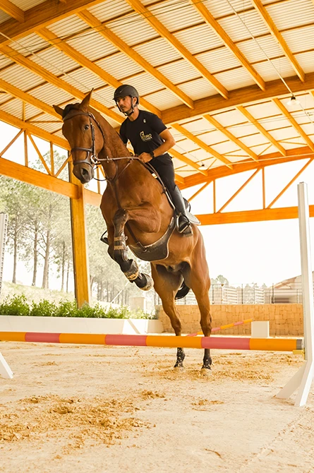 Picadeiro coberto e pistas do centro equestre