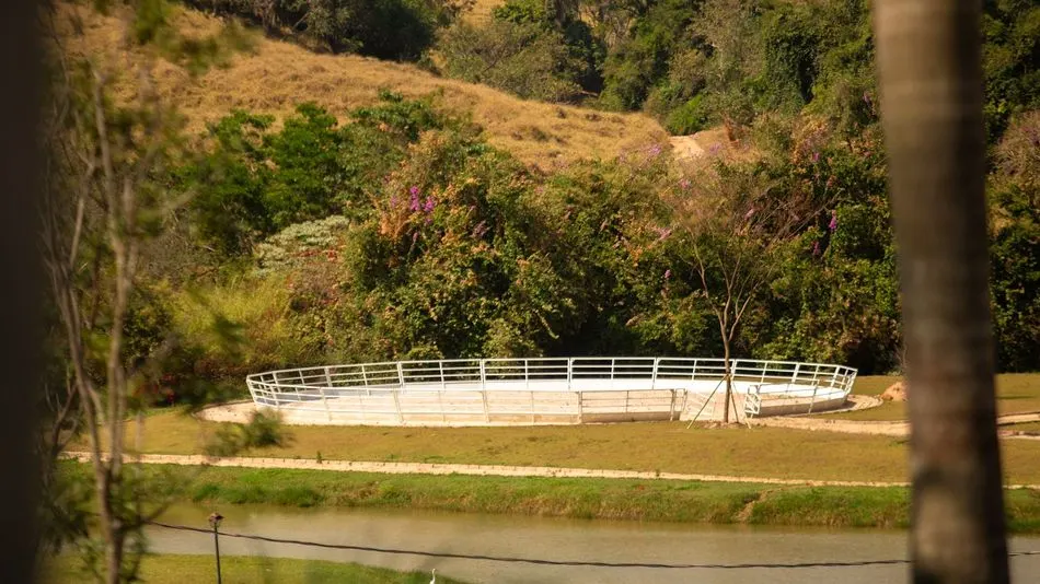 Galeria Haras La Estancia — foto 12