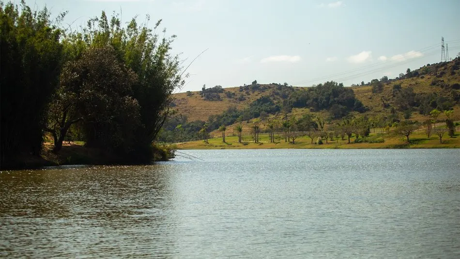 Galeria Haras La Estancia — foto 16