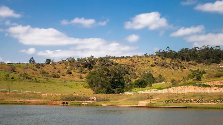 Galeria Haras La Estancia — foto 21