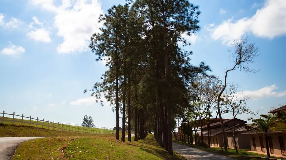 Galeria Haras La Estancia — foto 6